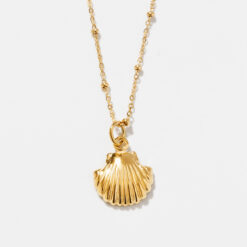 Seashell Necklace Seashell Necklace