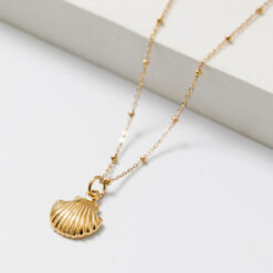 Seashell Necklace